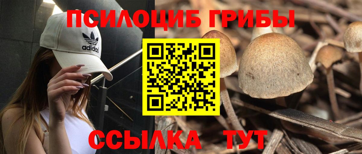 Псилоцибиновые грибы ЛСД  Вход с VPN  Псилоцибиновые грибы Magic Shrooms  Архангельск 