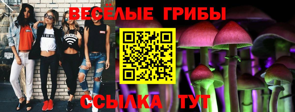 Псилоцибиновые грибы мицелий Архангельск